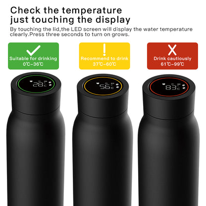 HydraGlow™ Smart Water Bottle – Bluetooth, Temperature Display (600ML)